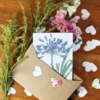 Growing Paper Agapanthus Greeting Card